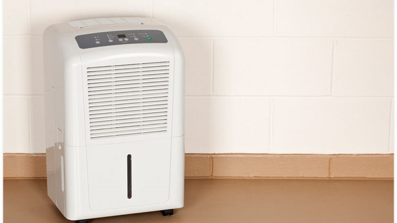 The 11 Best Dehumidifiers for Your Home in 2021, According to Reviews -  Real Simple