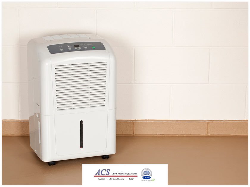 How to Tell If Your Home Needs a Dehumidifier
